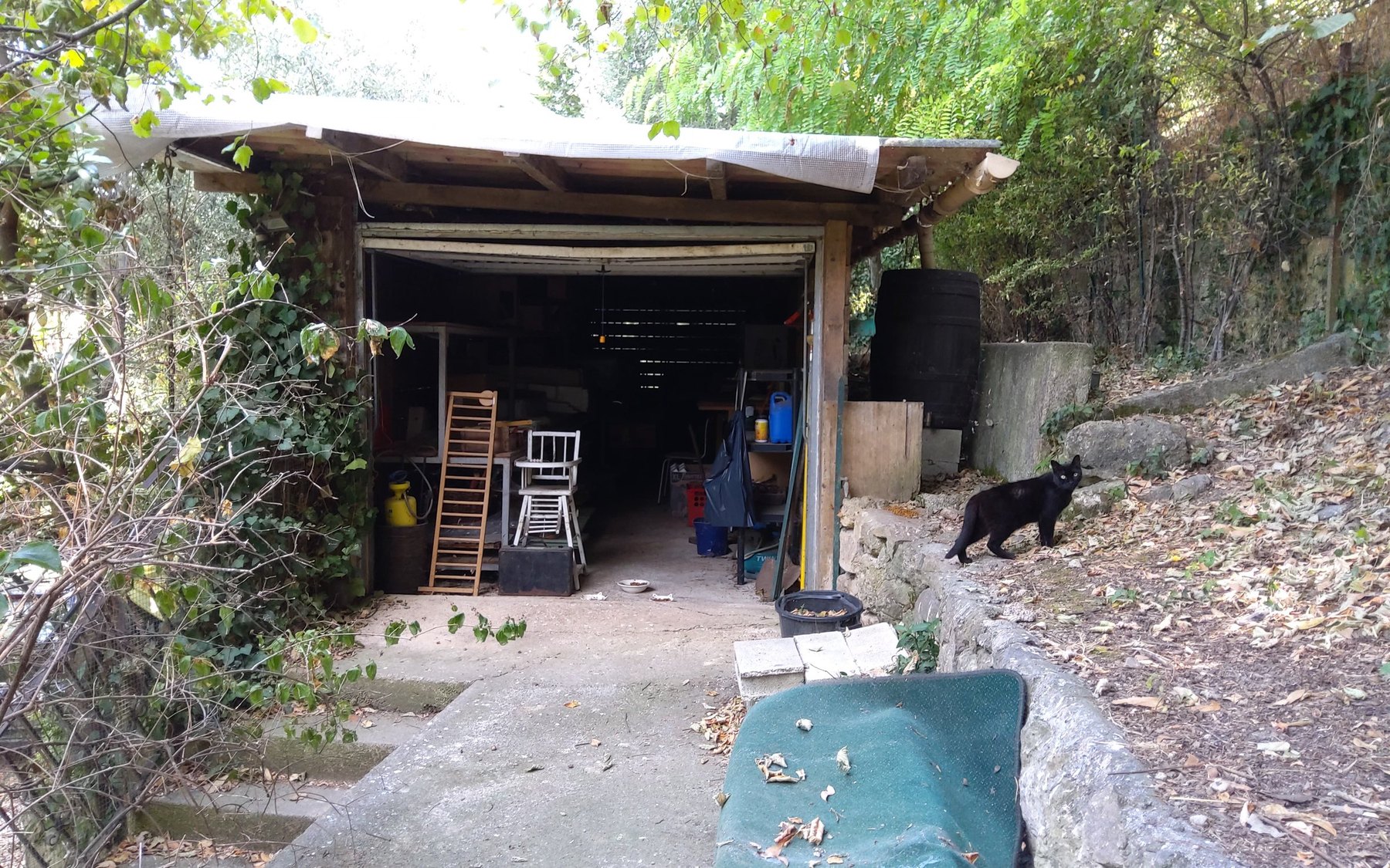 約30㎡の既存付属建物